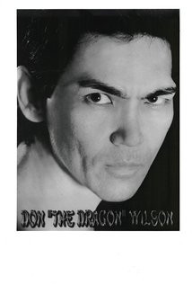 Don \'The Dragon\' Wilson